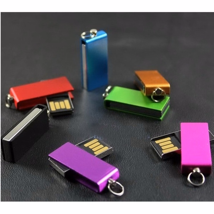 Mini USB Flash Drive (2 GB)