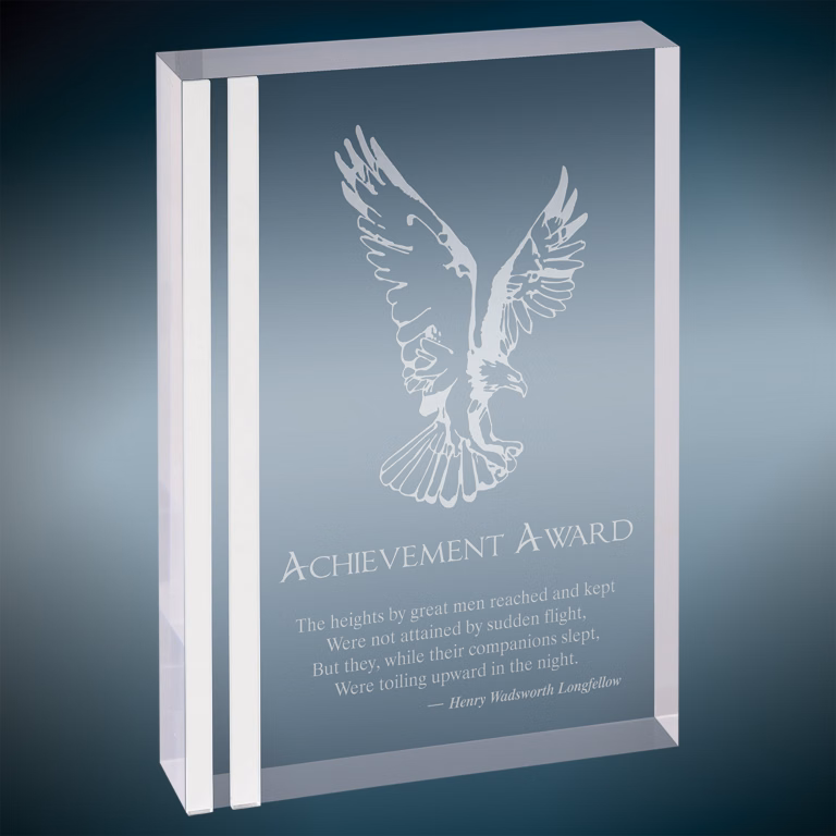 6" x 8" Silver Rectangle Acrylic Award