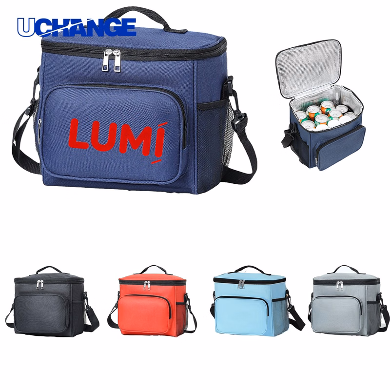 10L Portable Lunch Cooler Bag Organizer