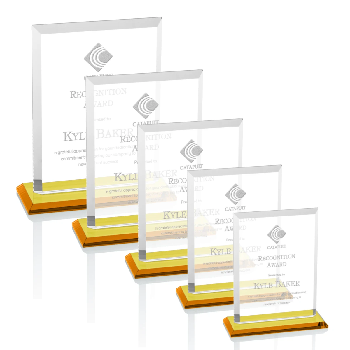 Denison Award - Amber 1