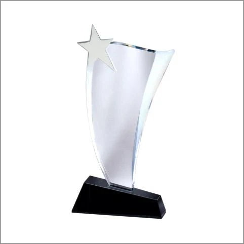 Crystal Wave With Silver Star 1