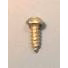 Phillips Screw