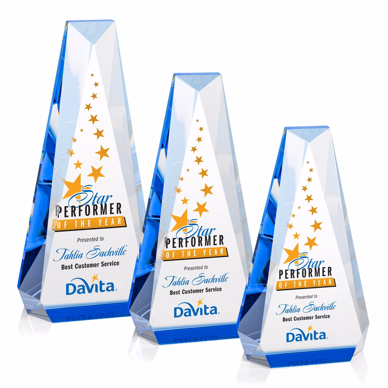 Carmel VividPrint™ Award - Blue