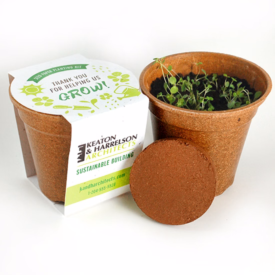 Wildflower Seed Paper Sprouter Kits