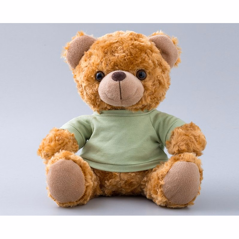 Teddy Bear With Choice of T-Shirt Color
