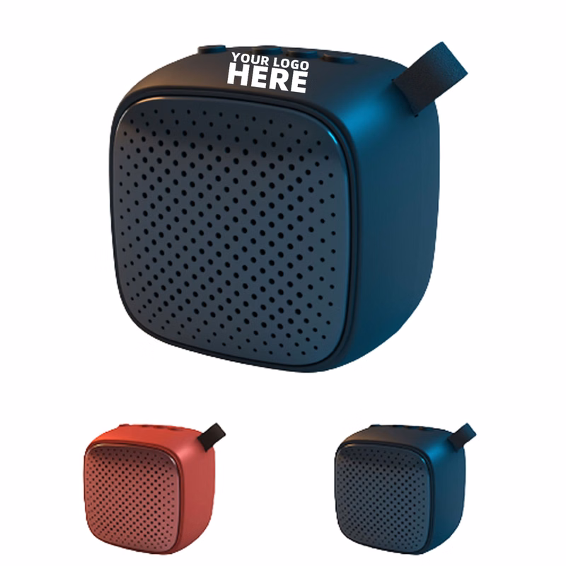 Wireless Portable Speaker With TWS
