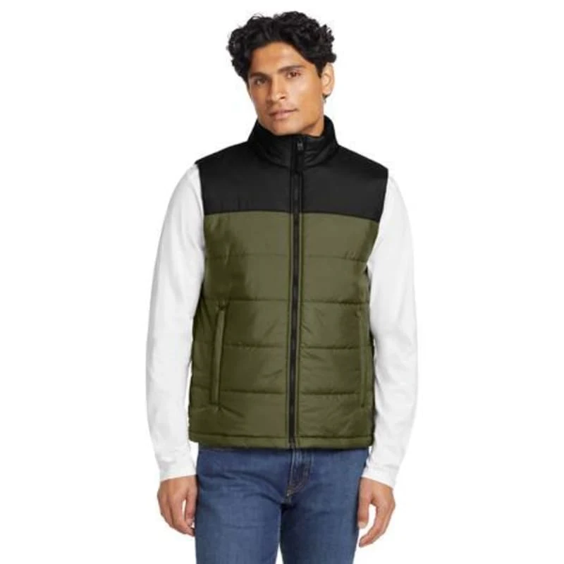 The North Face Everyday Insulated Vest. 1