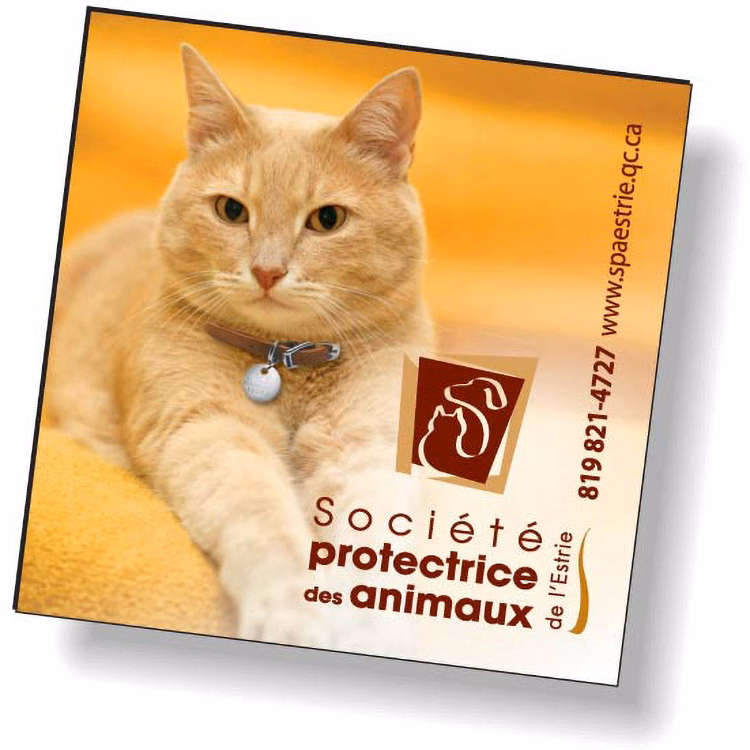 Stock Square Shape .020 Memo Magnet (2"x2") High Resolution Full Colour Imprint