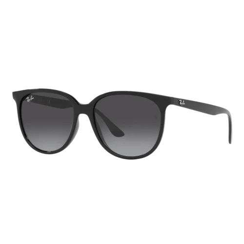 Ray-Ban RB4378 Sunglasses 1