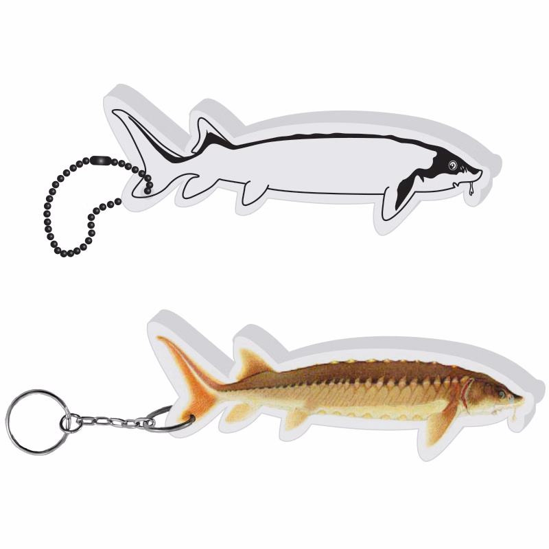 Fish Key Tag