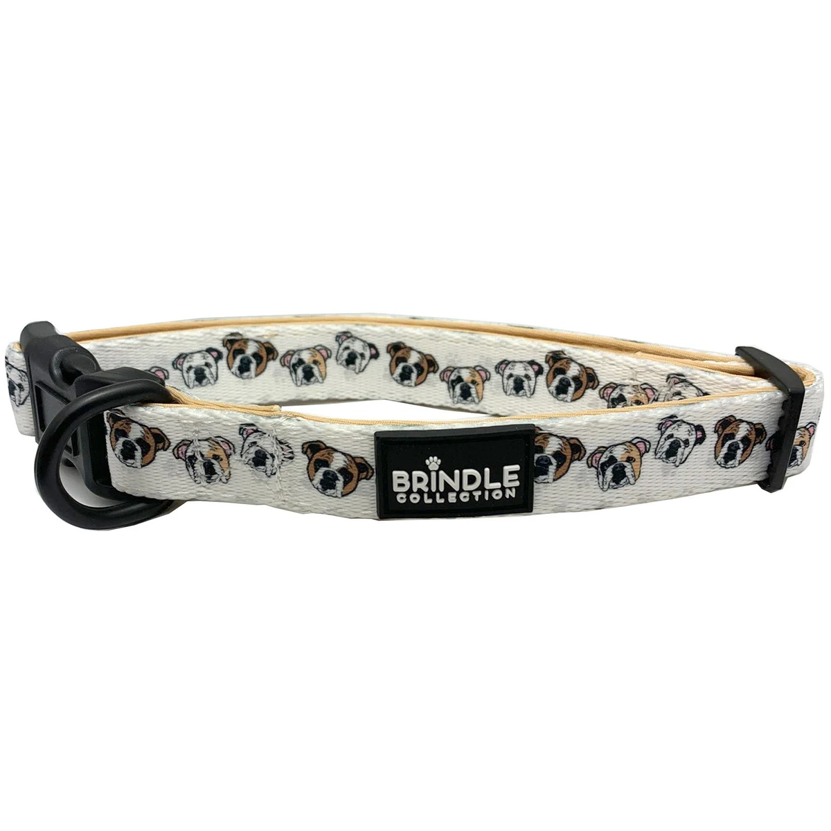 Dog Collar With Neoprene Backing: Small 1