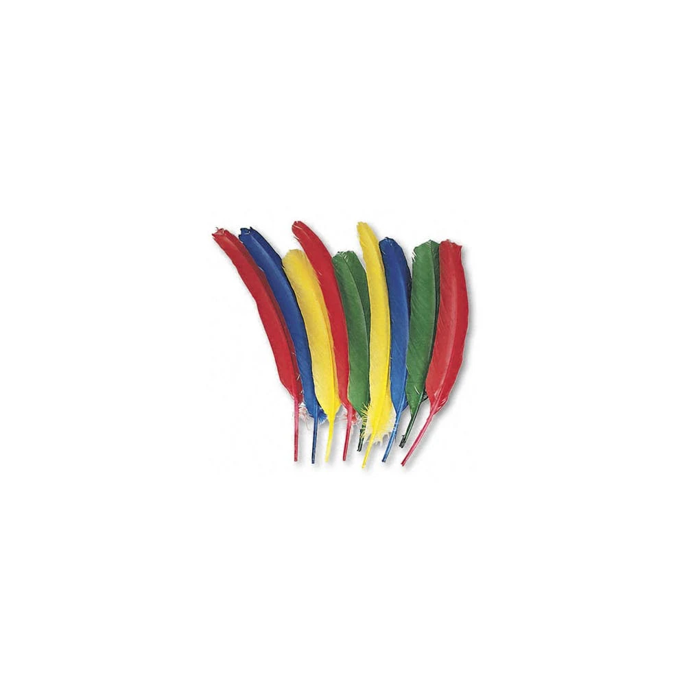 Quill Feathers - 4 Colors 12" 1
