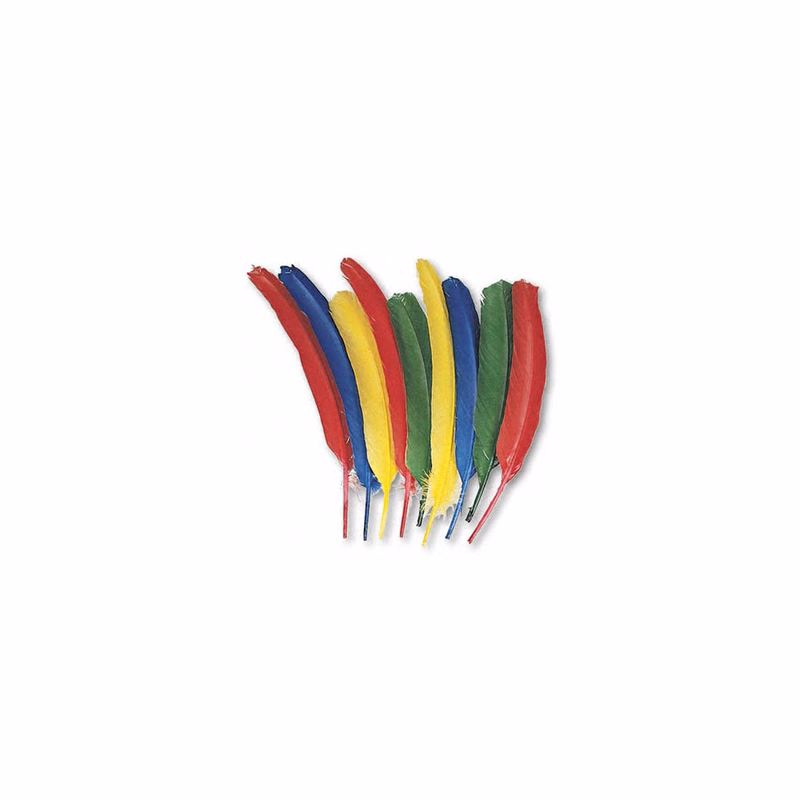 Quill Feathers - 4 Colors 12"