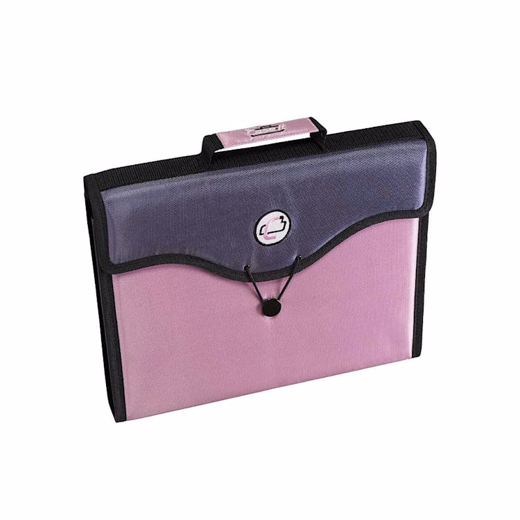 Expanding File Folders - Pink