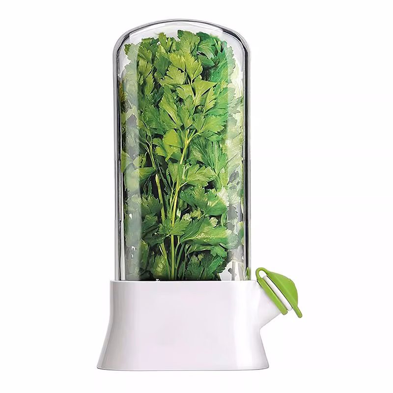 Vegetable Fresh-Keeping Box
