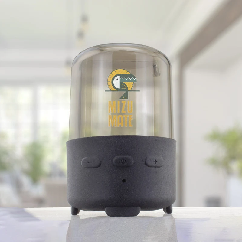 Loglow Speaker 1