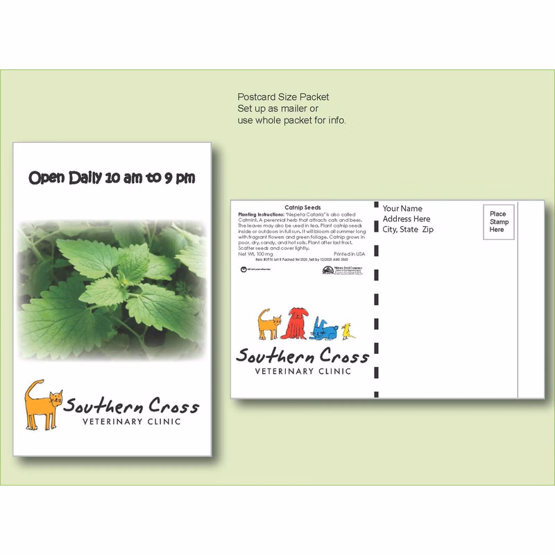 Catnip Seed Packet - Postcard Mailer Size 4" x 6.5"