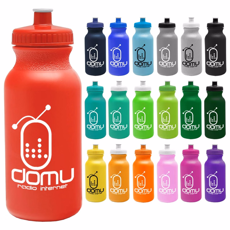 Colored Sports Bottle with Push Pull Lid, 20 oz.