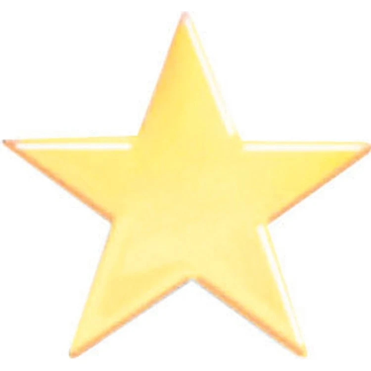 Bright Gold Star Service Lapel Pin 1