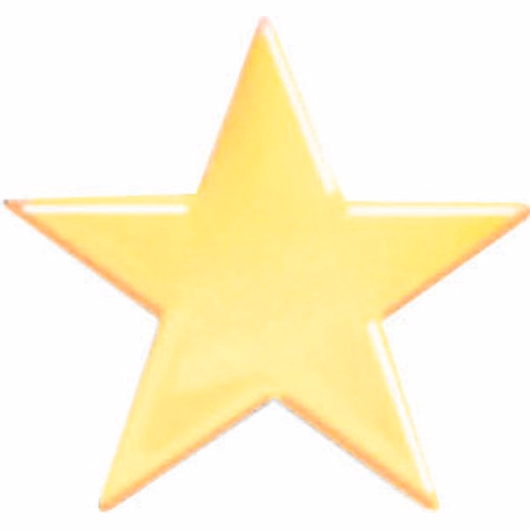 Bright Gold Star Service Lapel Pin