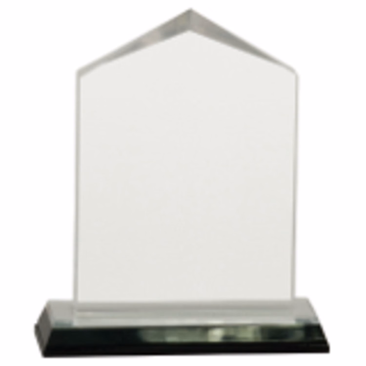 5.5" Silver Jewel Impress Acrylic Award