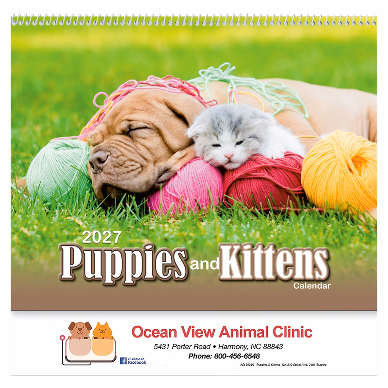 Puppies & Kittens Wall Calendar: 2027 Spiral Bound