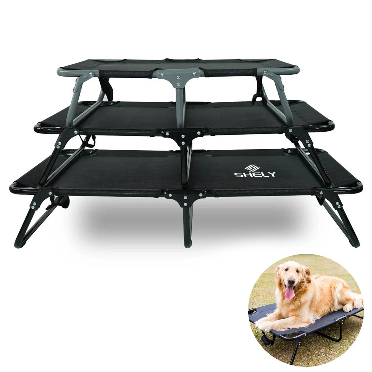 Elevated Raised Small Dog Bed Cots 1