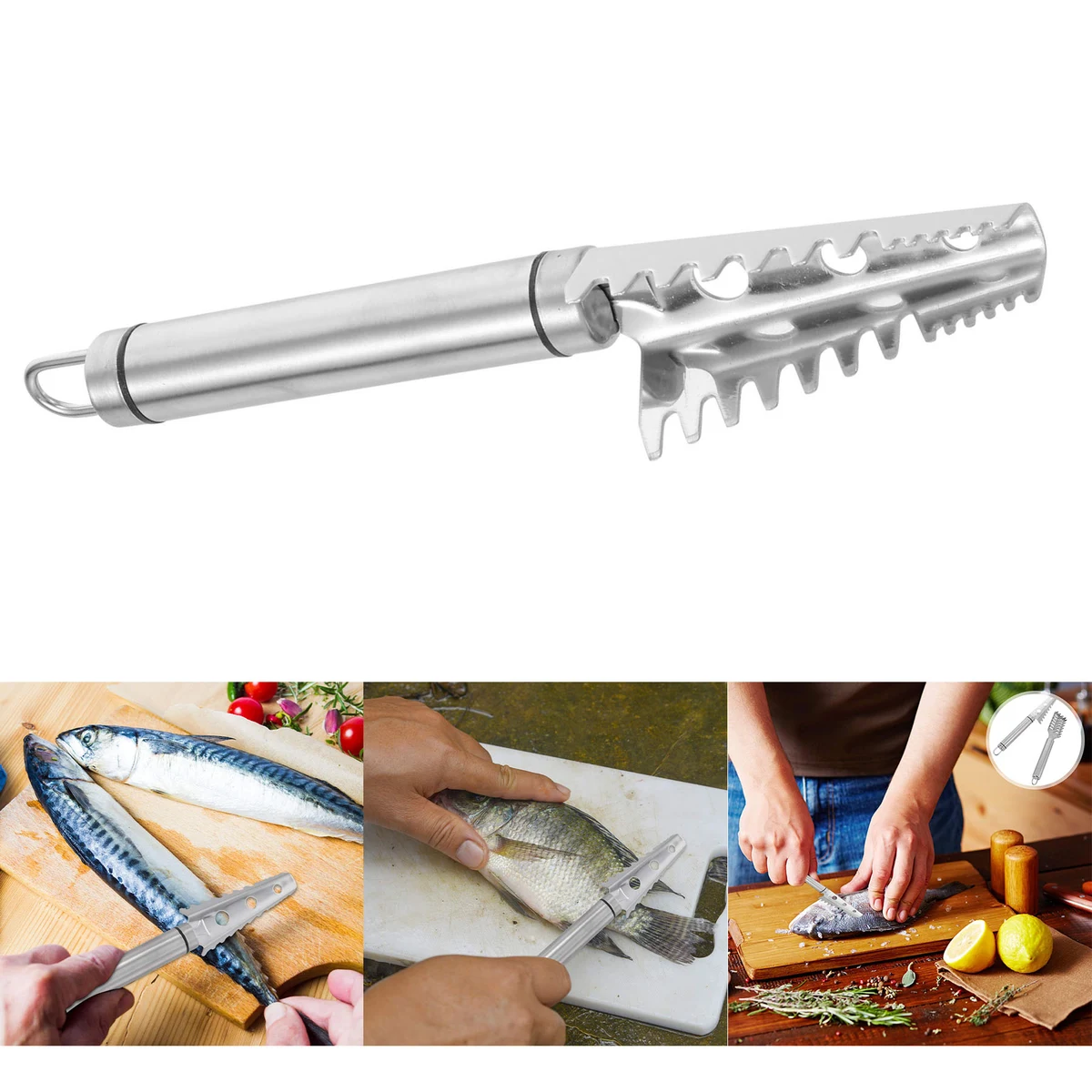 Specialty Tools Stainless Steel Fish Scale Remover 1