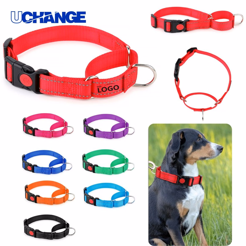 Durable Pet Collar Accessory for Dogs