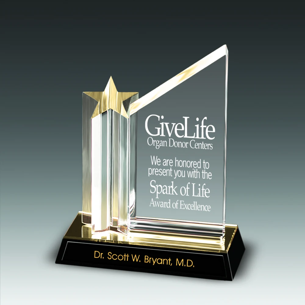 9" Star Achiever Award 1