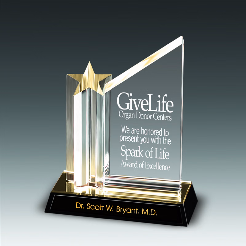 9" Star Achiever Award