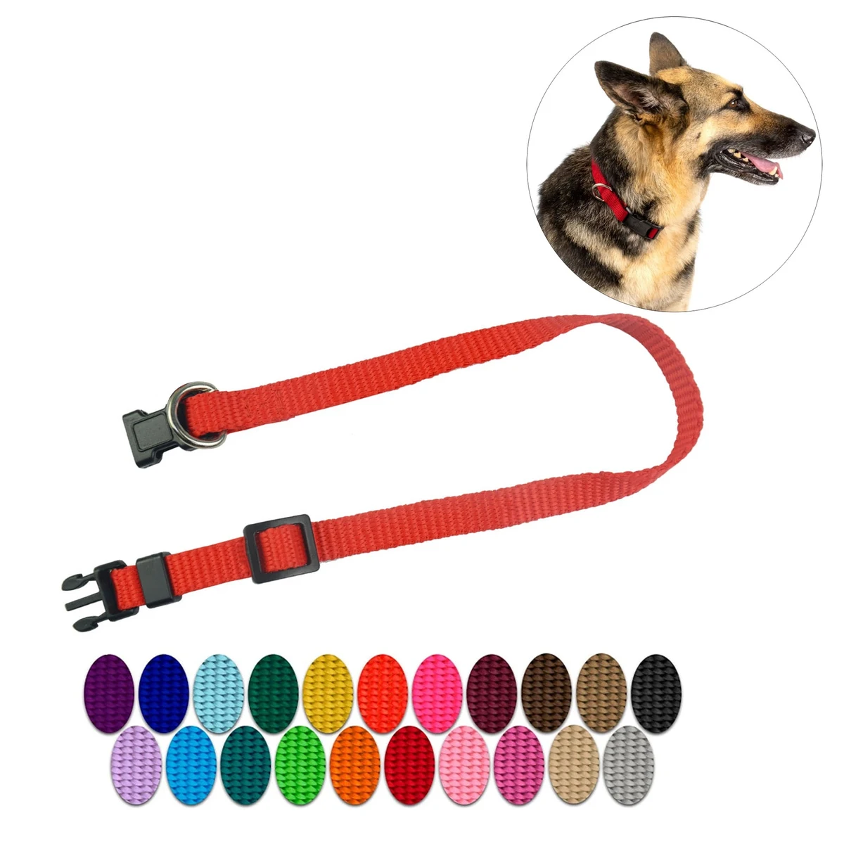 3/4'' Nylon Dog Collar w/ Buckle and Clip 1