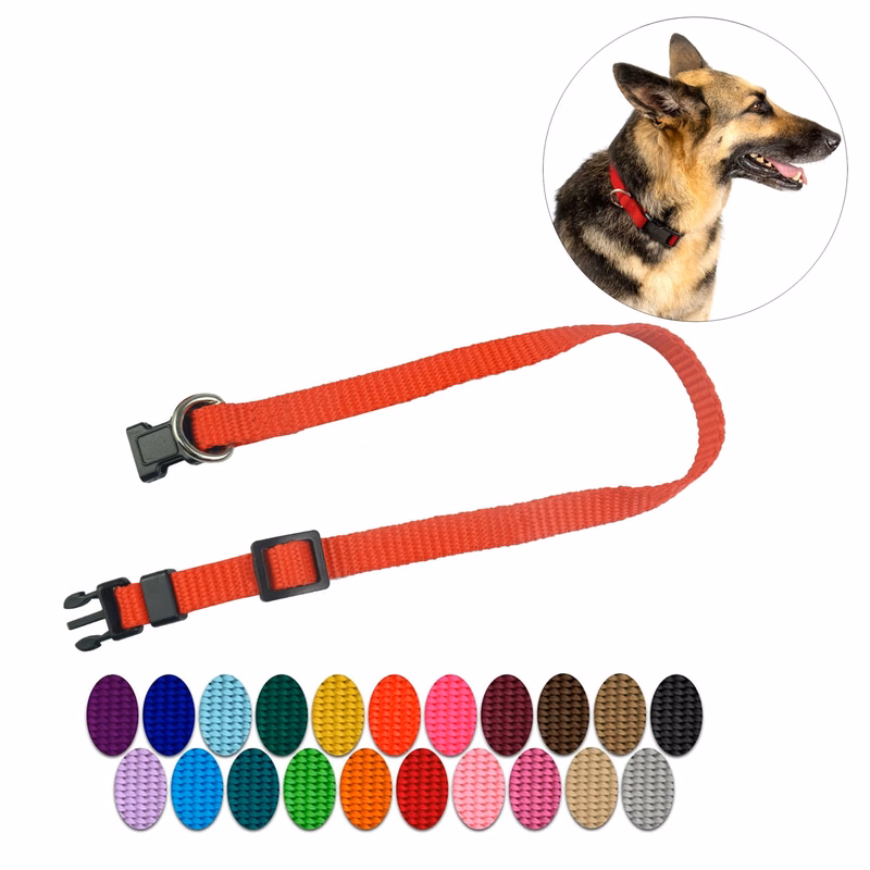 3/4'' Nylon Dog Collar w/ Buckle and Clip