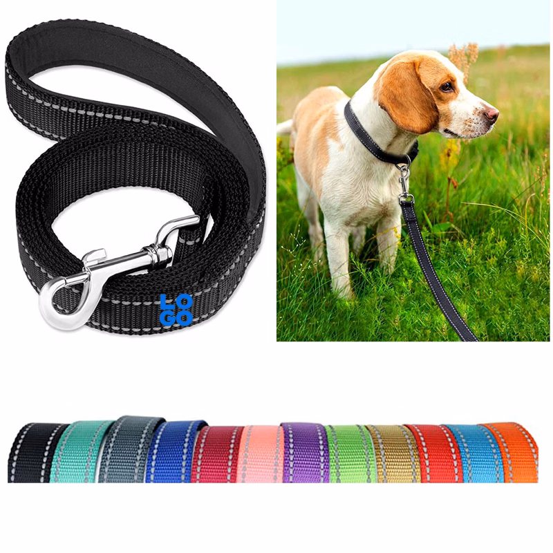 Nylon Dog Leash