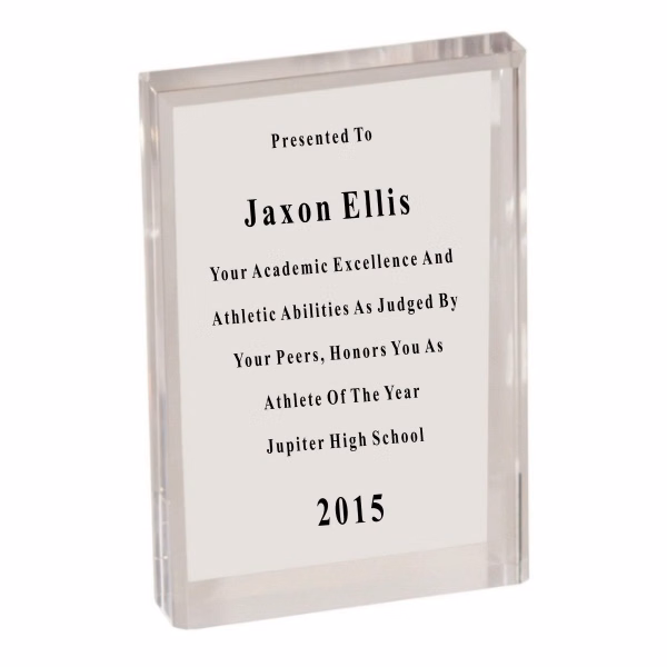 Freestanding Rectangle Bevel Acrylic Award