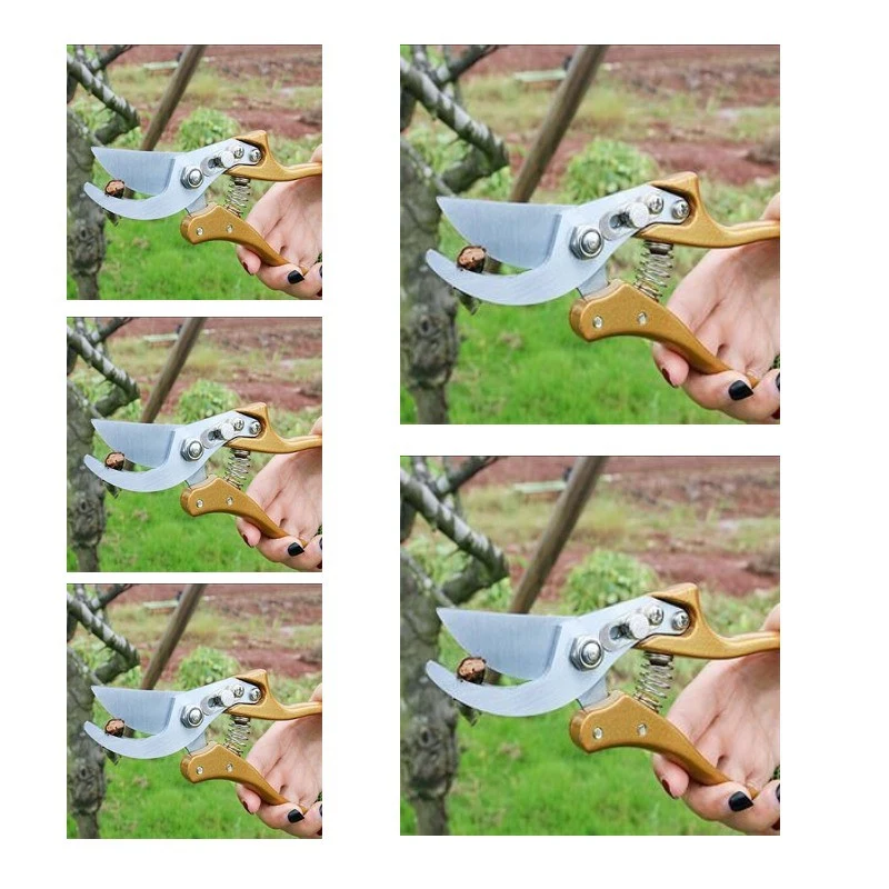 Gardening Shears Heavy Duty 1