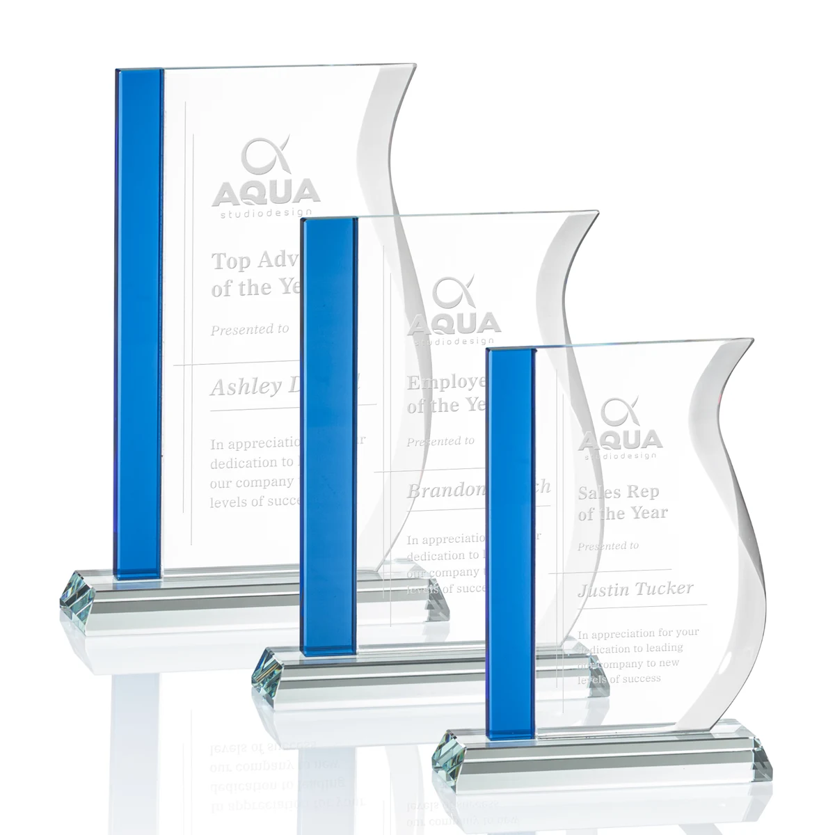 Burbank Award - Blue 1