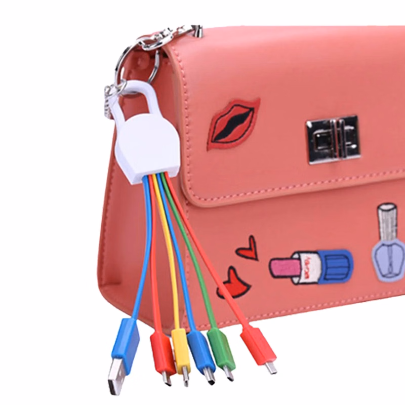 Compact 6-in-1 Multi Charging Cable