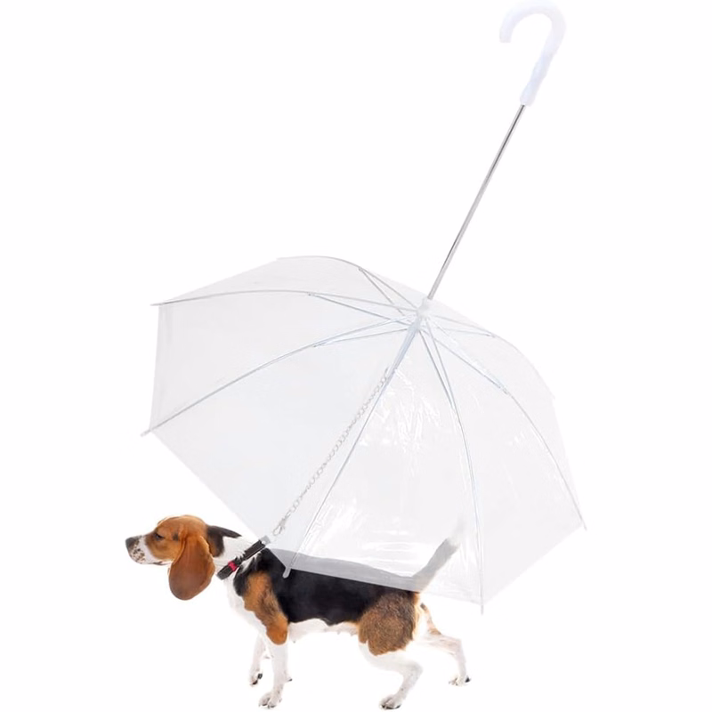 RainGuard Personalized Pet Canopy