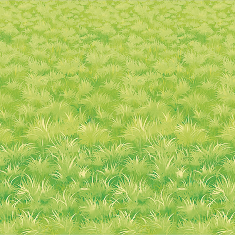 Meadow Backdrop
