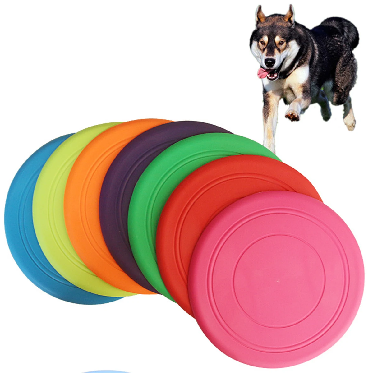 Pet Flying Discs 1