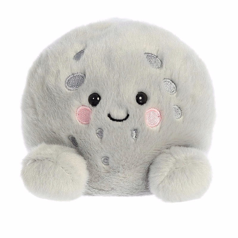 5" Bean Bag Moon