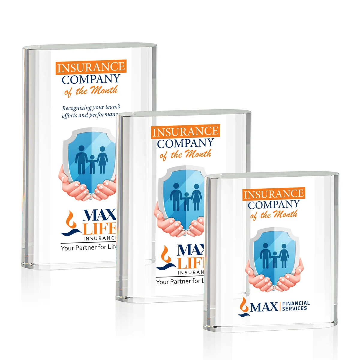 Merit VividPrint™ Award 1