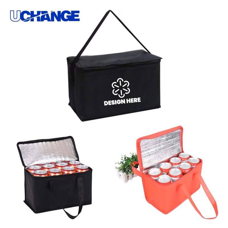 Non-Woven Insulated Bag for Picnic