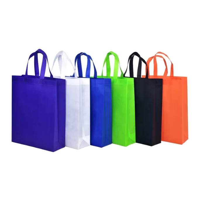 80 gsm Non-Woven Bag/Shopping Bag 1