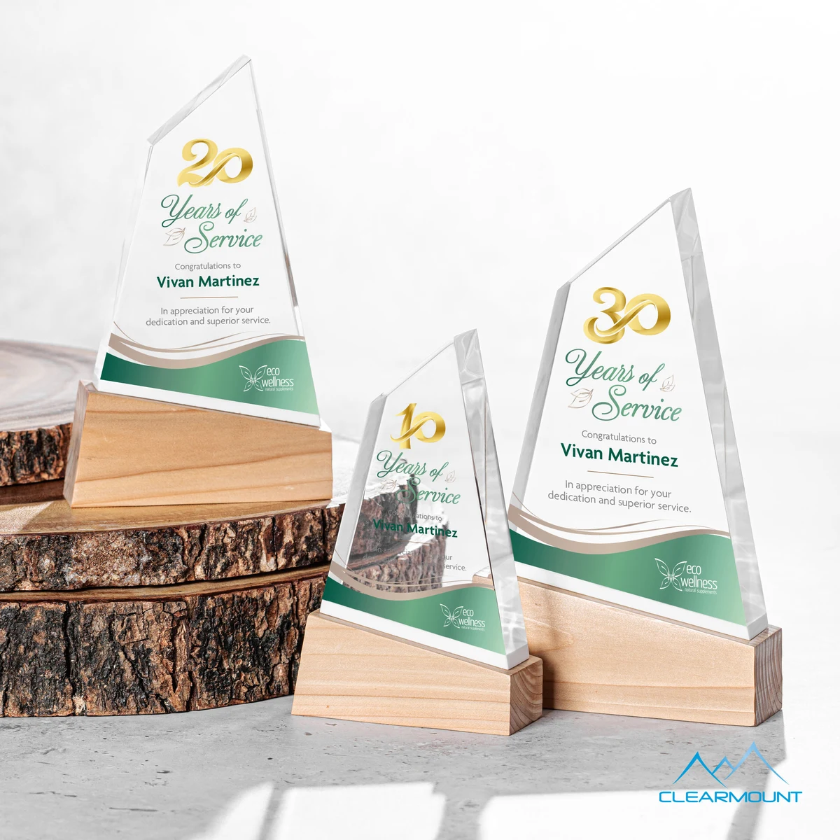 Terra VividPrint™ Award 1