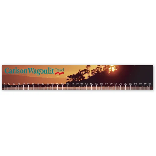 Vinyl Ruler - Rectangle (2"x12.25") 1