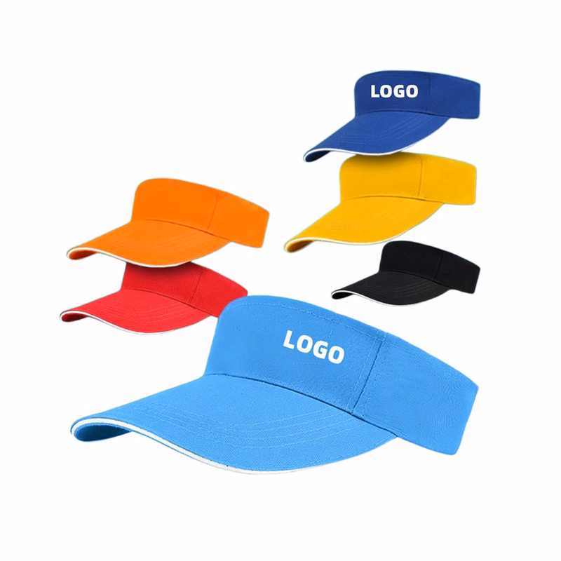 Sun Visor