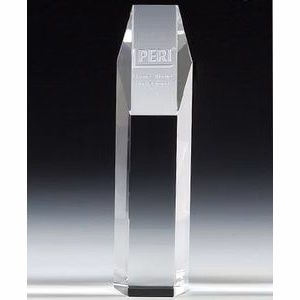 10" OptiMaxx Hexagon Award