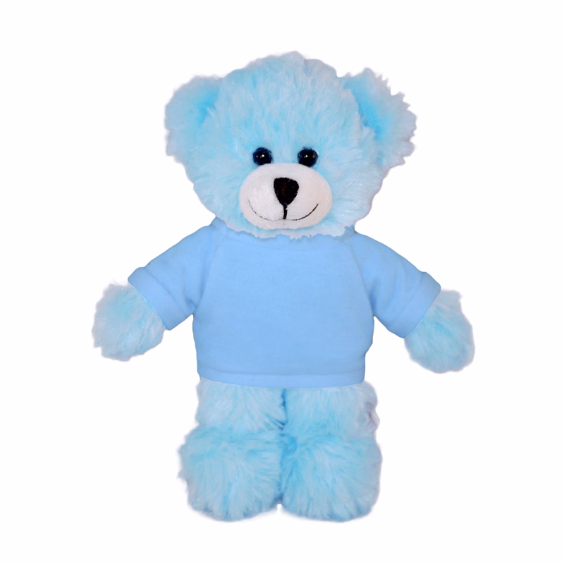 Blue Bear with Tee